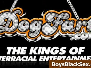 Blacks On Boys - Interracial Porn Gay Videos - 05